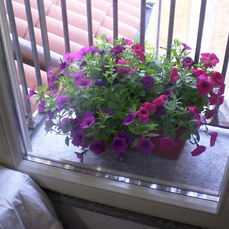 Apartment Mansarda Palatina Turin