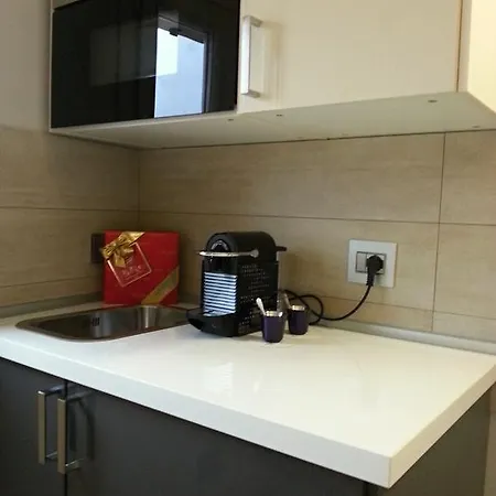 Daire Mansarda Palatina